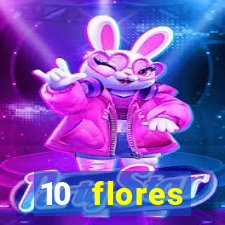 10 flores silvestres do nordeste